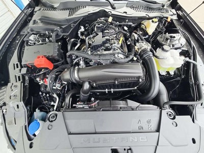 2026 Ford Mustang EcoBoost Fastback