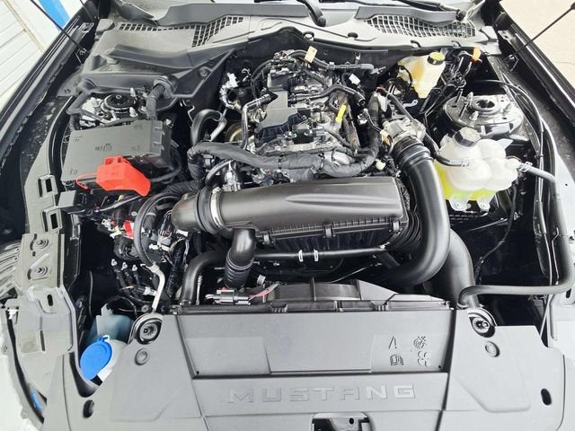 2026 Ford Mustang EcoBoost Fastback